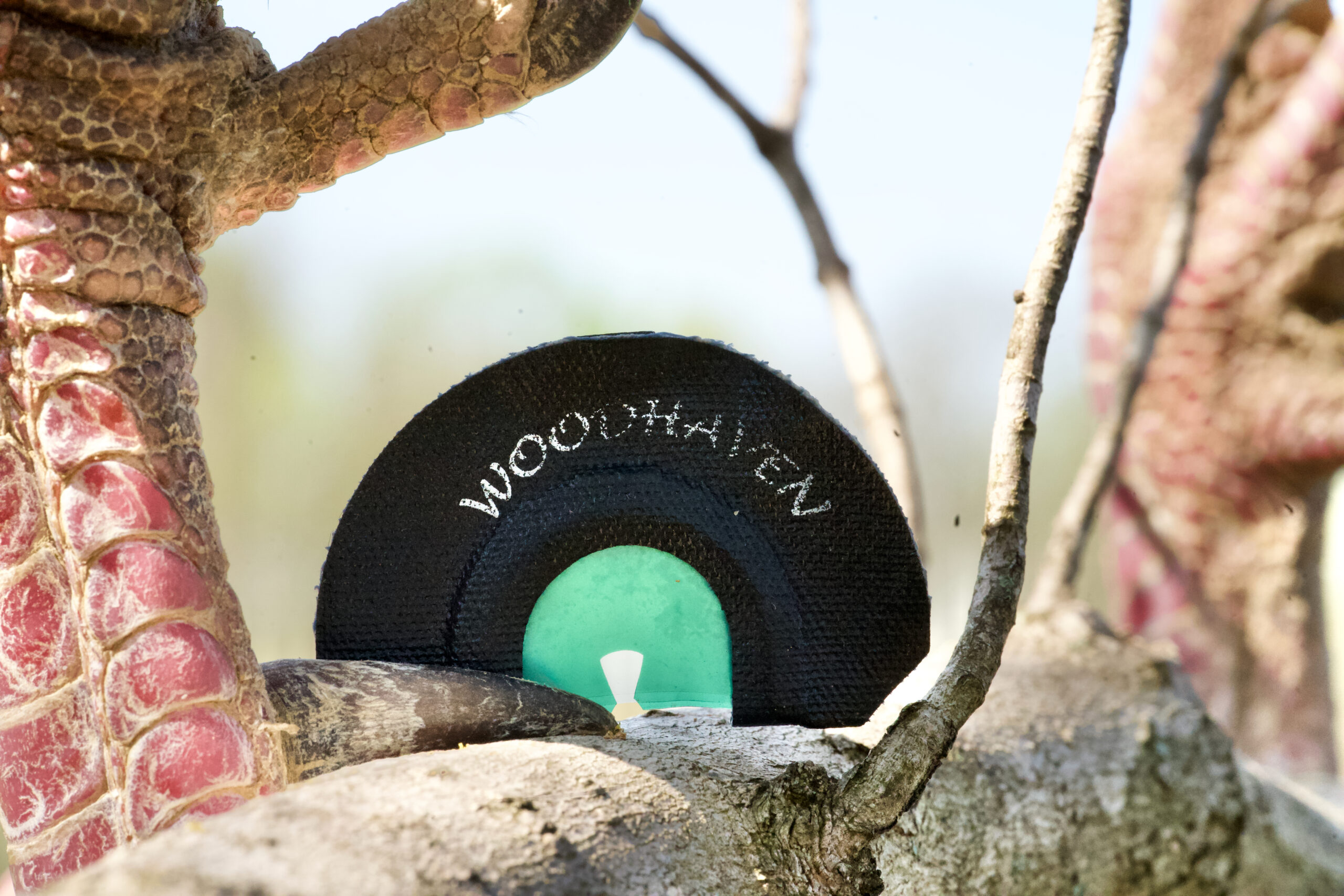 The Best Turkey Mouth Calls of 2023, Tested and Reviewed Outdoor Life