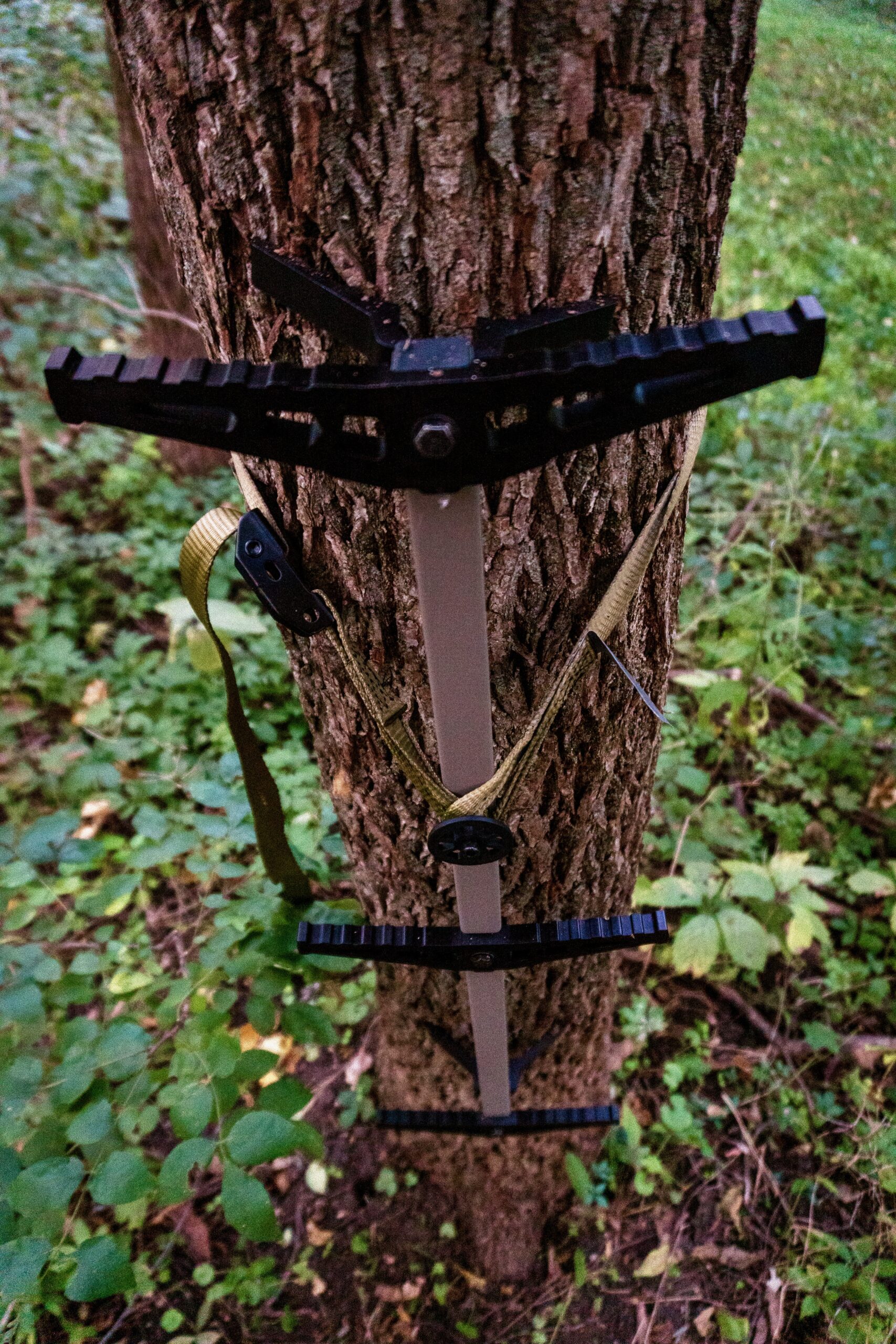 Best Climbing Sticks of 2023 Outdoor Life