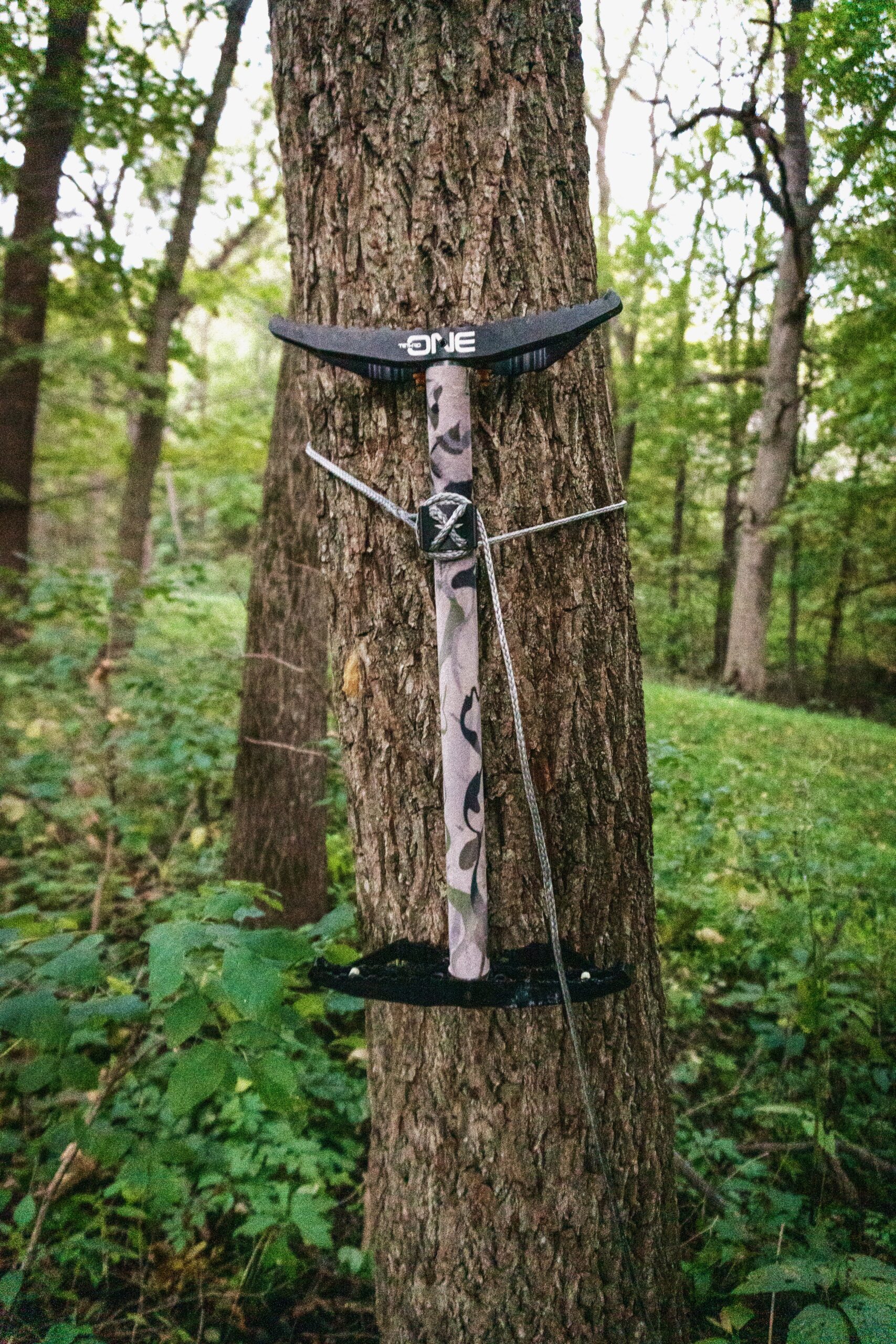 Best Climbing Sticks of 2023 Outdoor Life