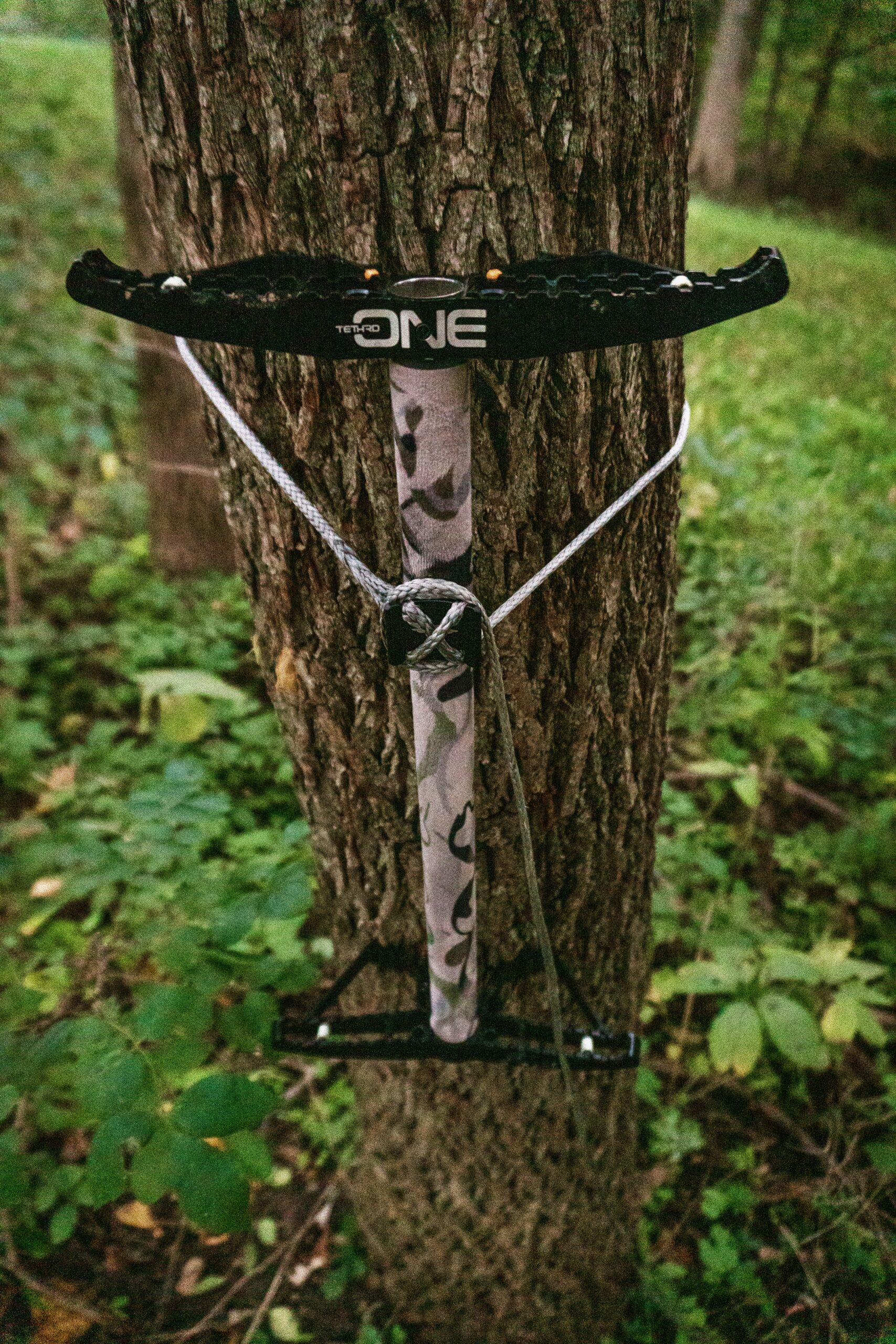 Best Climbing Sticks of 2023 Outdoor Life