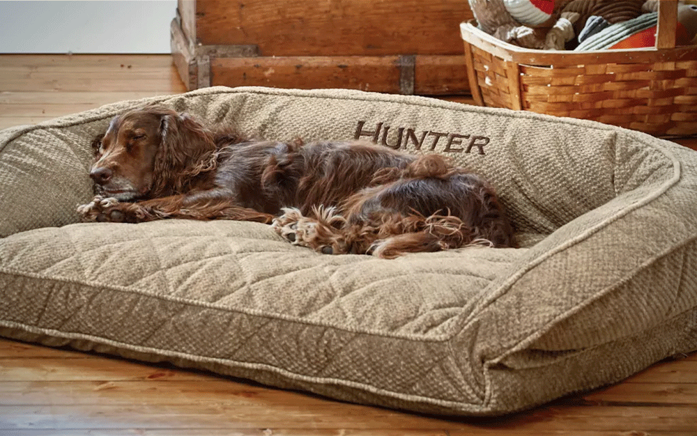 Best Dog Beds of 2023 Outdoor Life