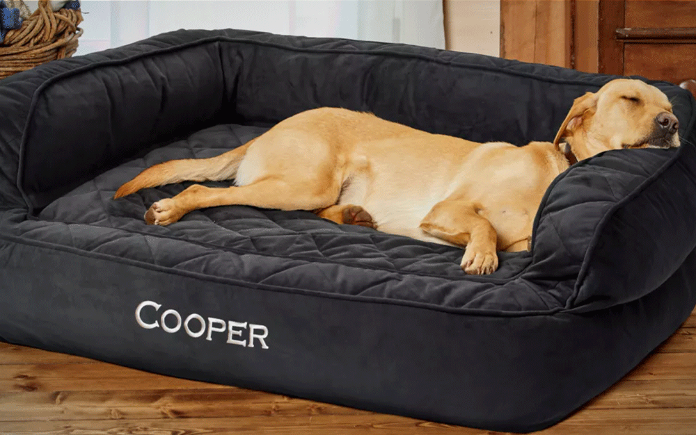 Best Dog Beds of 2023 Outdoor Life