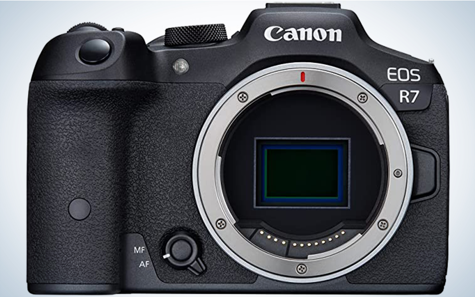 Best Cameras for Wildlife Photography Outdoor Life