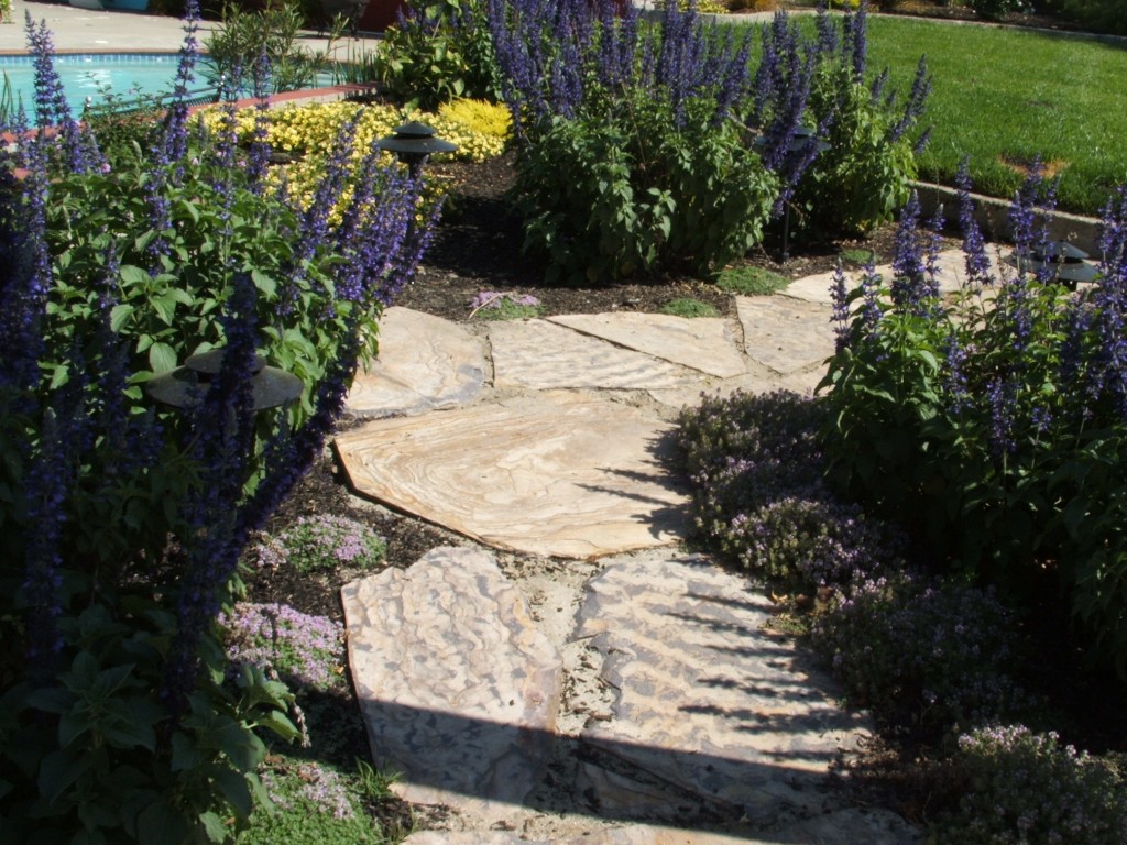 Three Rivers Flagstone Path Outer Visions Landscape Design