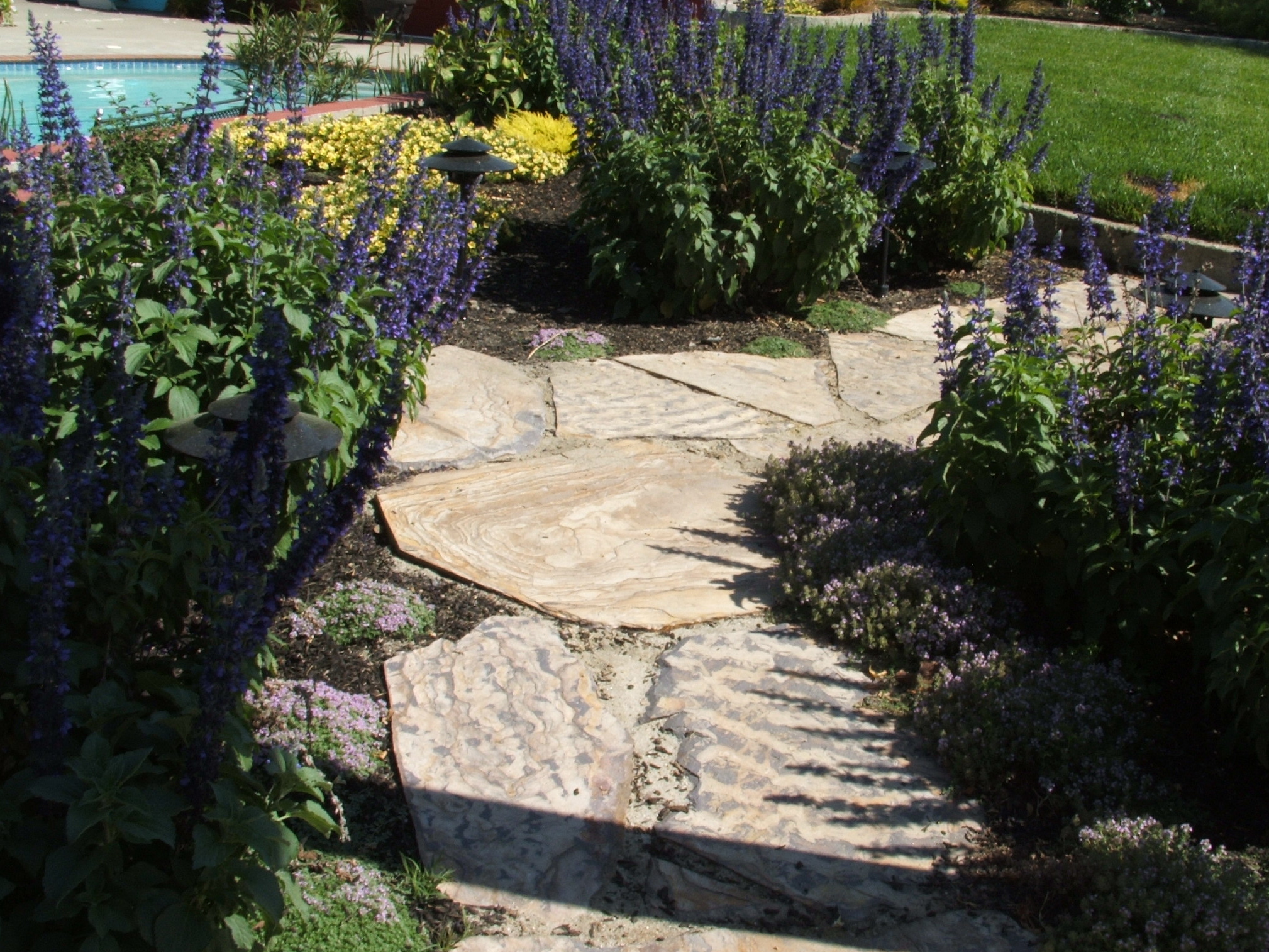 Three Rivers Flagstone Path Outer Visions Landscape Design