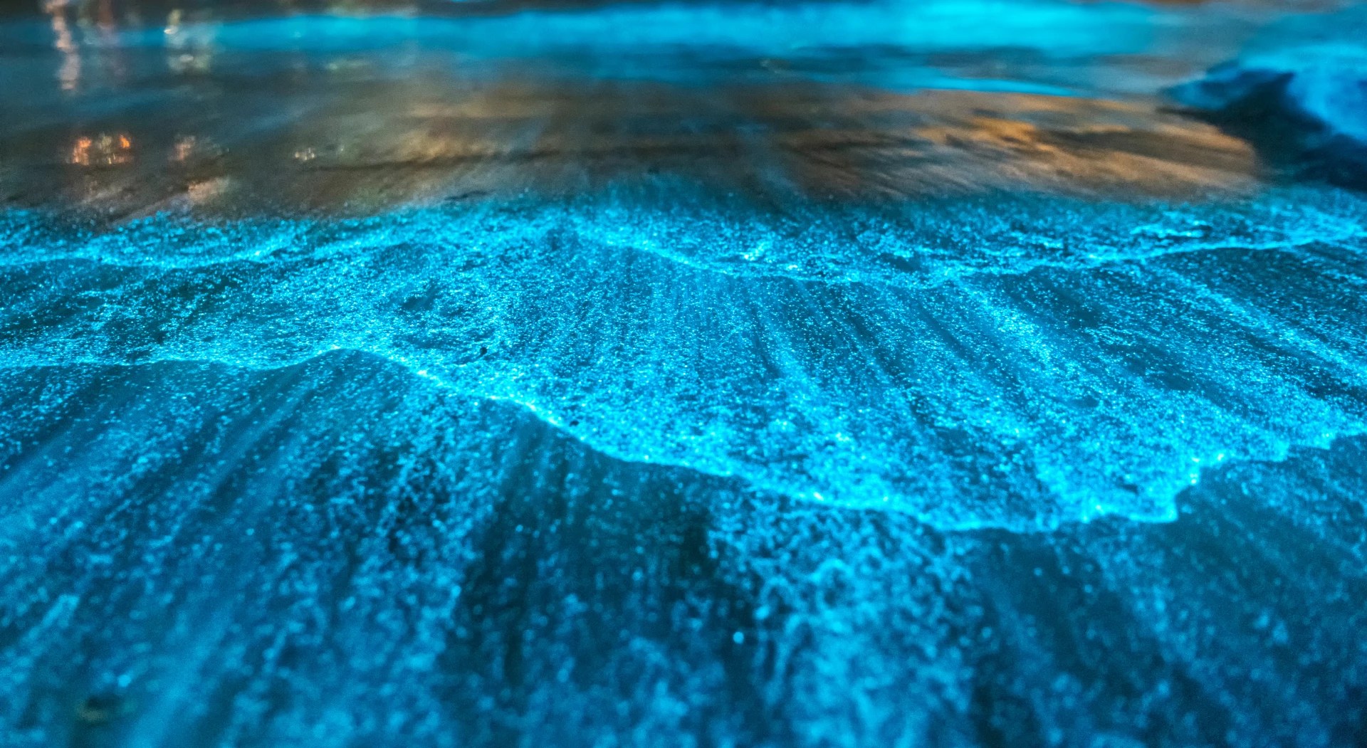 Mosquito Bioluminescent Bay Things to do in Puerto Rico