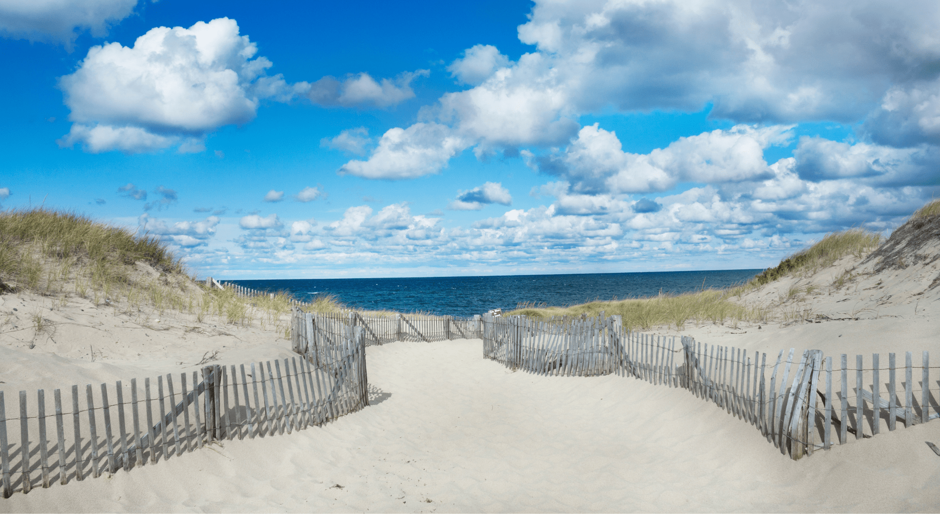 Gay Provincetown Travel Gay Bars, Hotels, Culture & History — LGBT