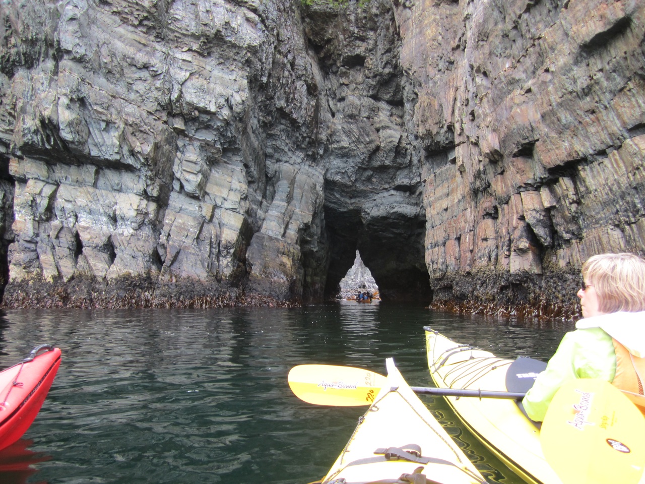 Kayaking In Cape Broyle Outside Our Bubble
