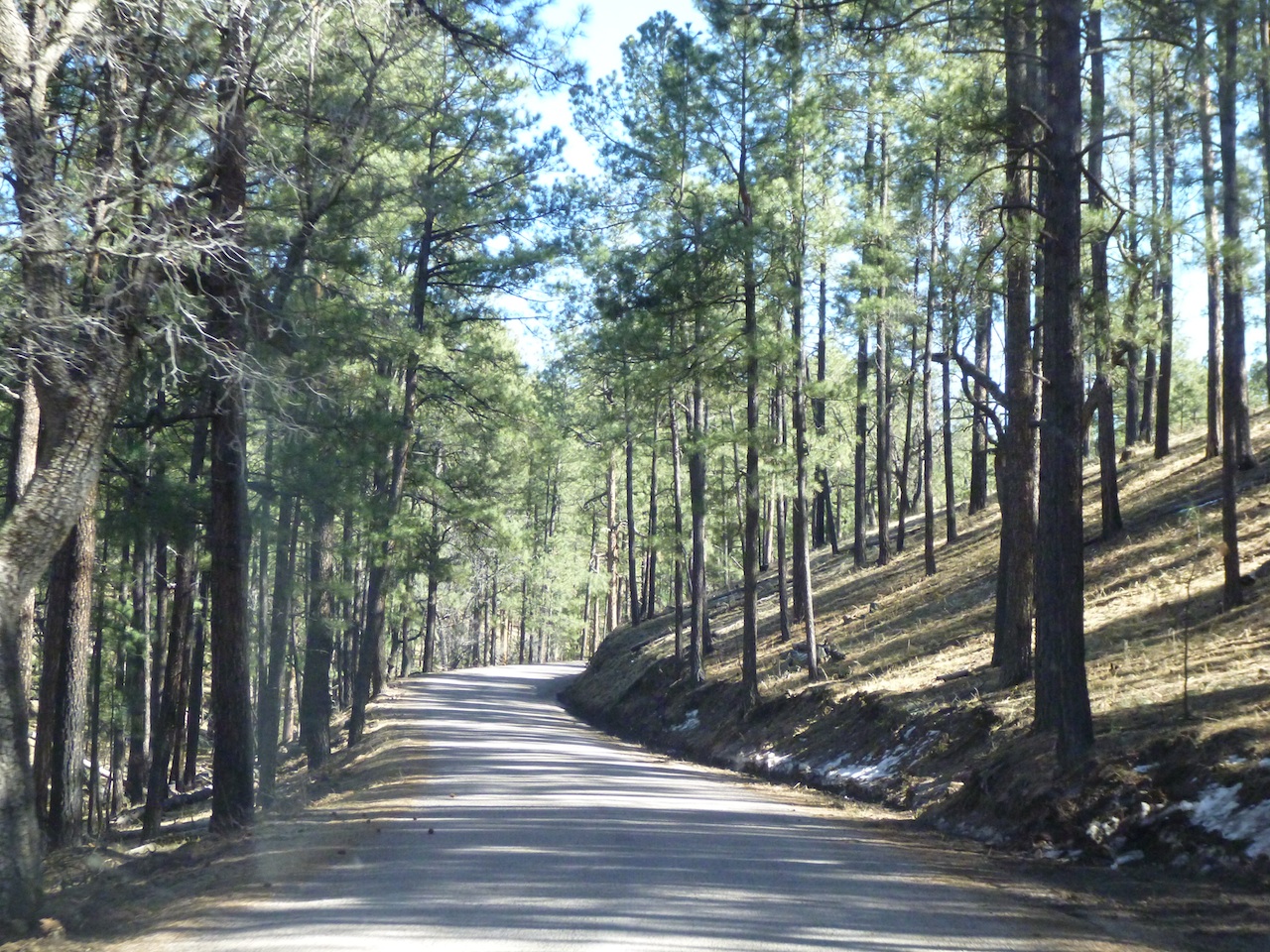 Gila National Forest And The Gila Cliff Dwellings Outside Our Bubble