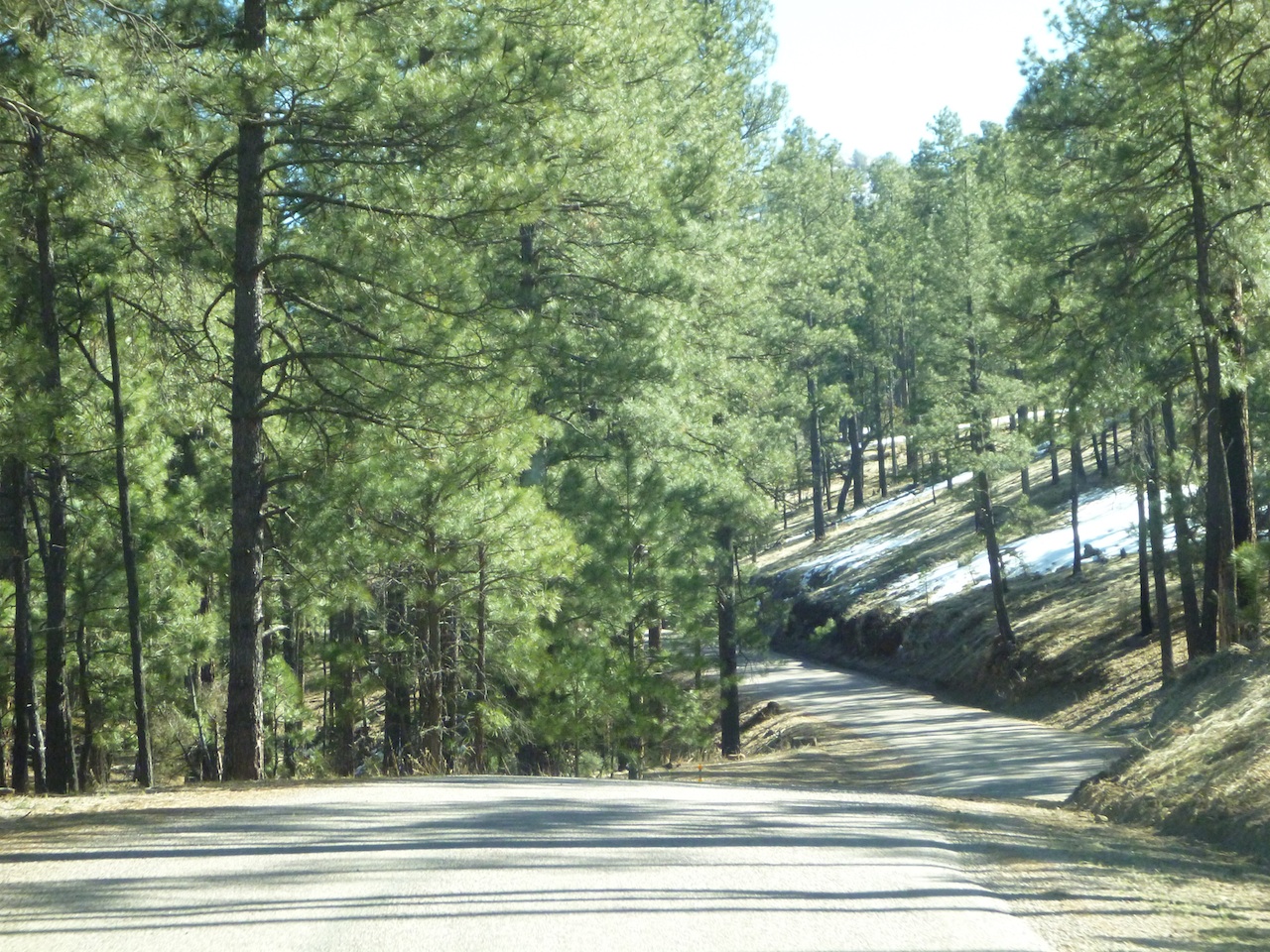 Gila National Forest And The Gila Cliff Dwellings Outside Our Bubble