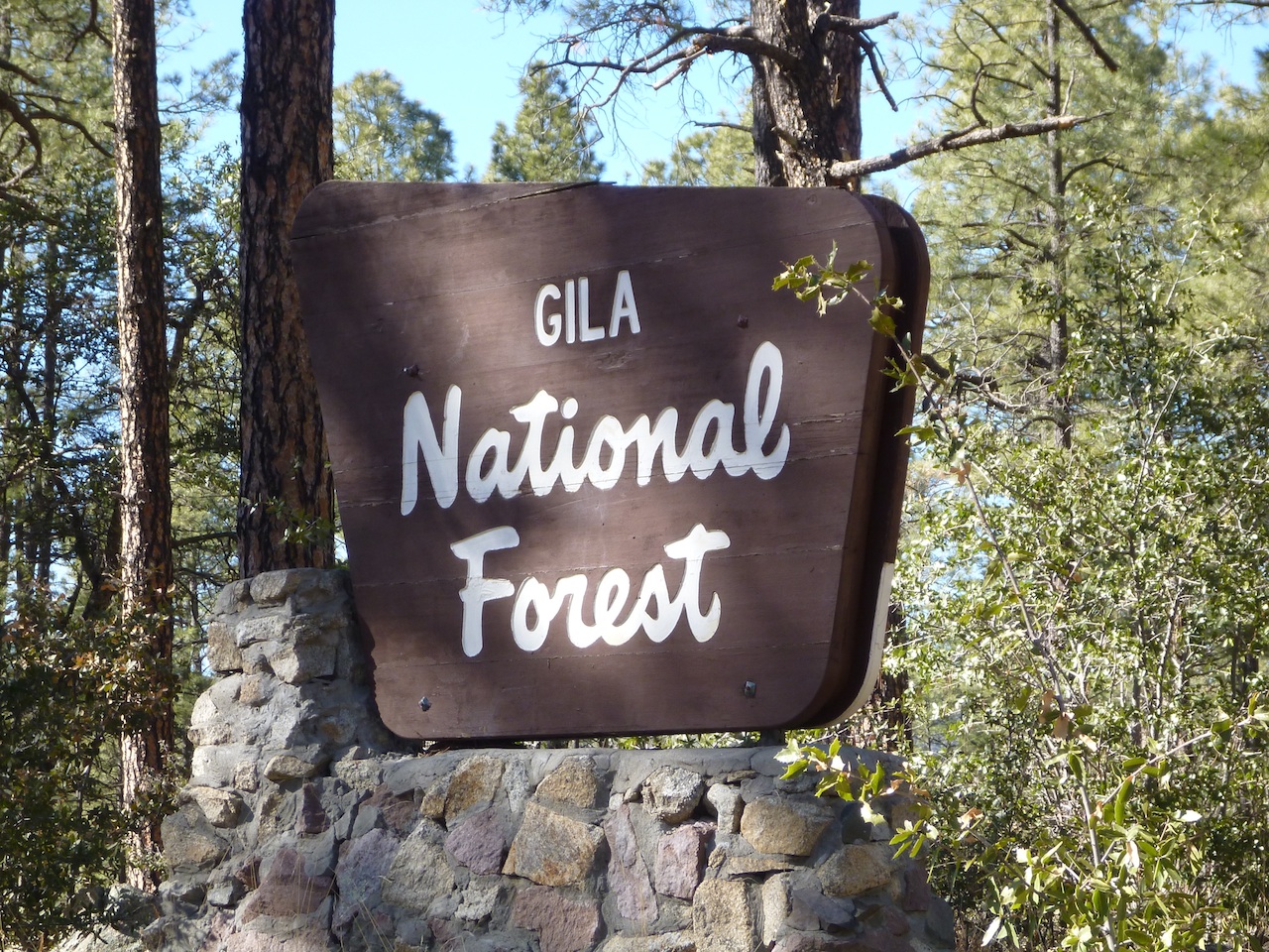 Gila National Forest And The Gila Cliff Dwellings Outside Our Bubble