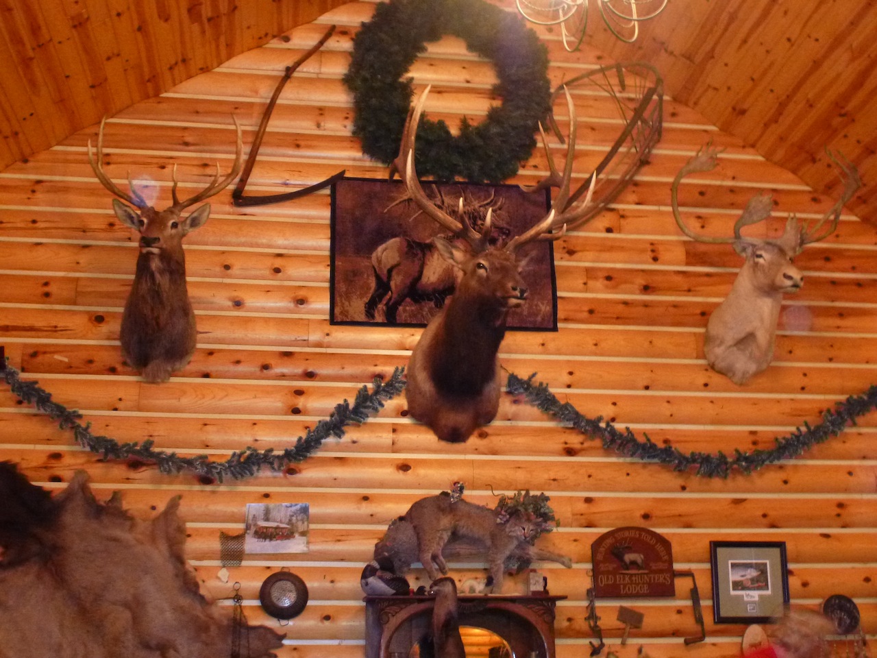 The Thunder Bay Area, Elk And A Sleigh Ride Outside Our Bubble