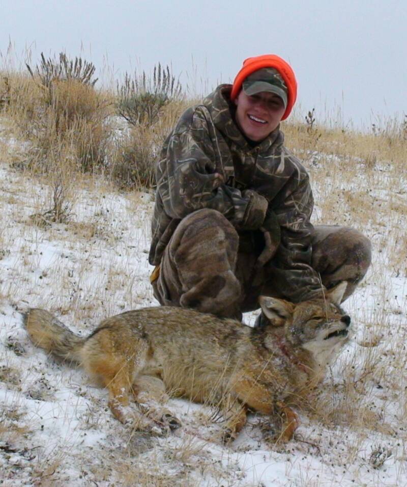 Wyoming Coyote hunting. Guided Coyote hunts in Wyoming. Coyote calling