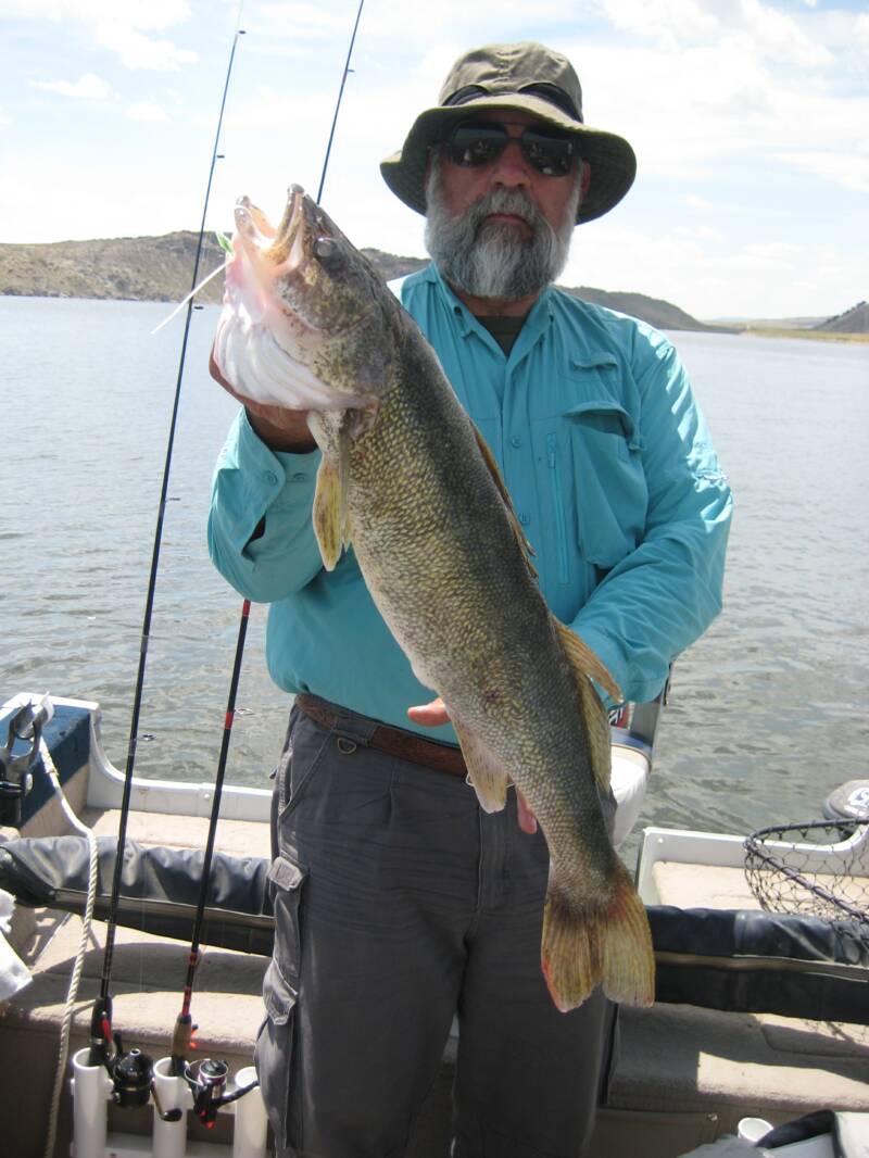Wyoming Fishing Trips, Many Species. North Platte River, High Savery