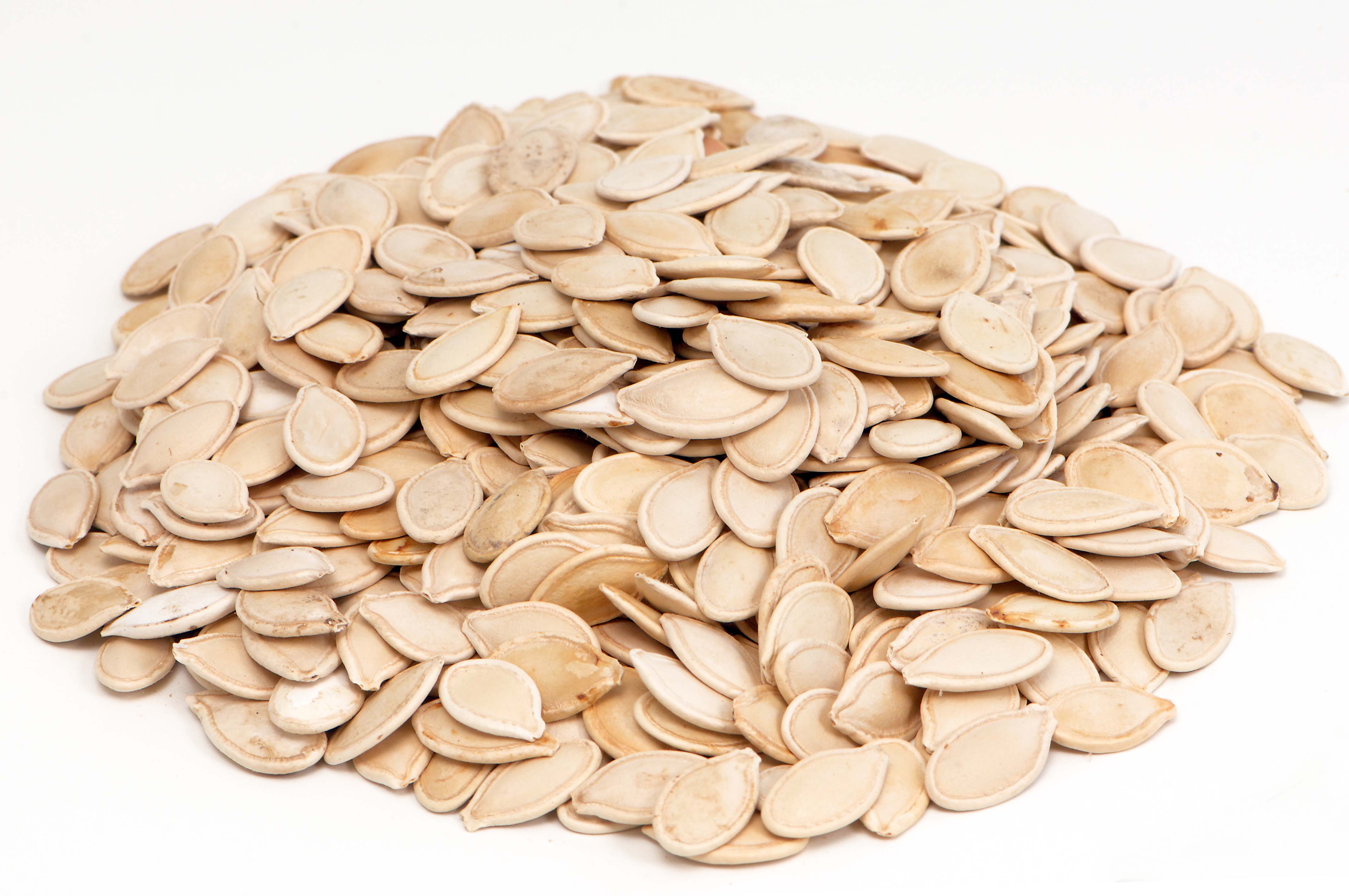 PUMPKIN SEEDS