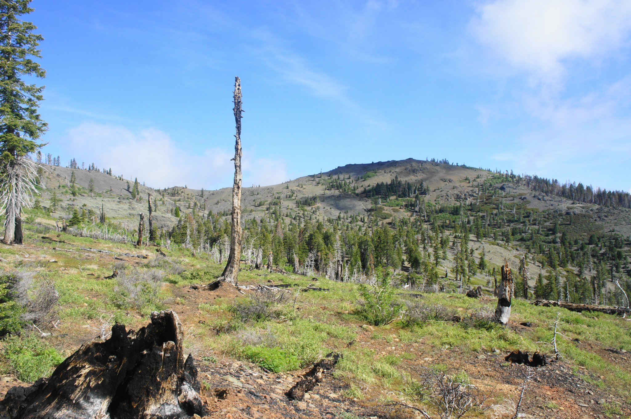 US West Mendocino National Forest from Stonyford OVERLAND BOUND