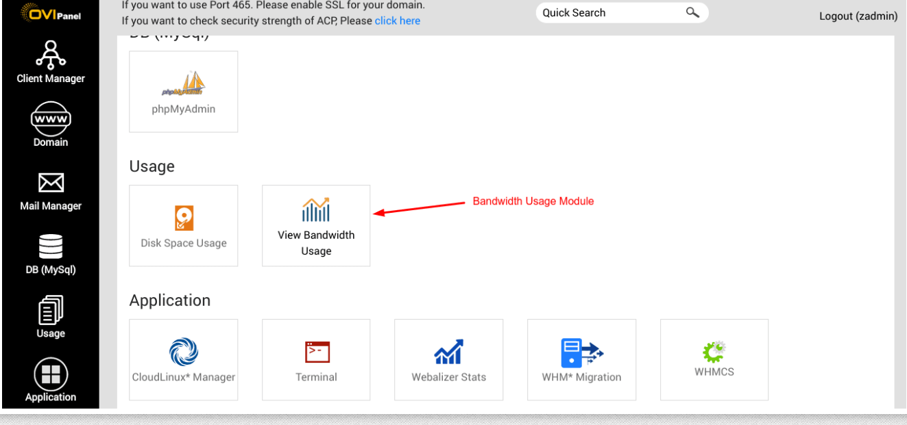 View bandwidth usage