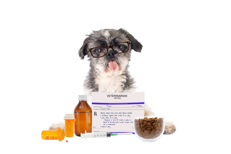 Pet Owners How to Dispose of Unused Medications Oakland Veterinary Referral Services