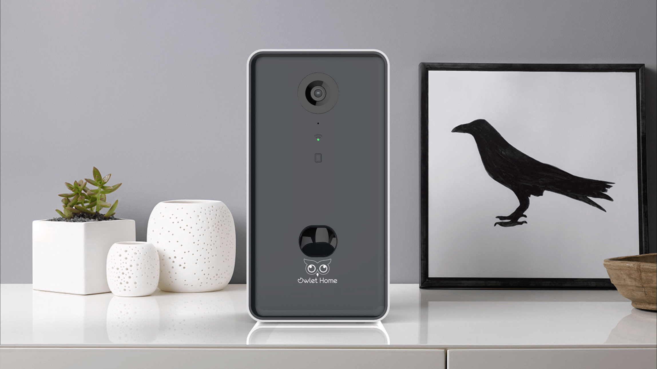 Owlet Home Smart Dog Camera with treat tossing, WiFi connecting, 720HD