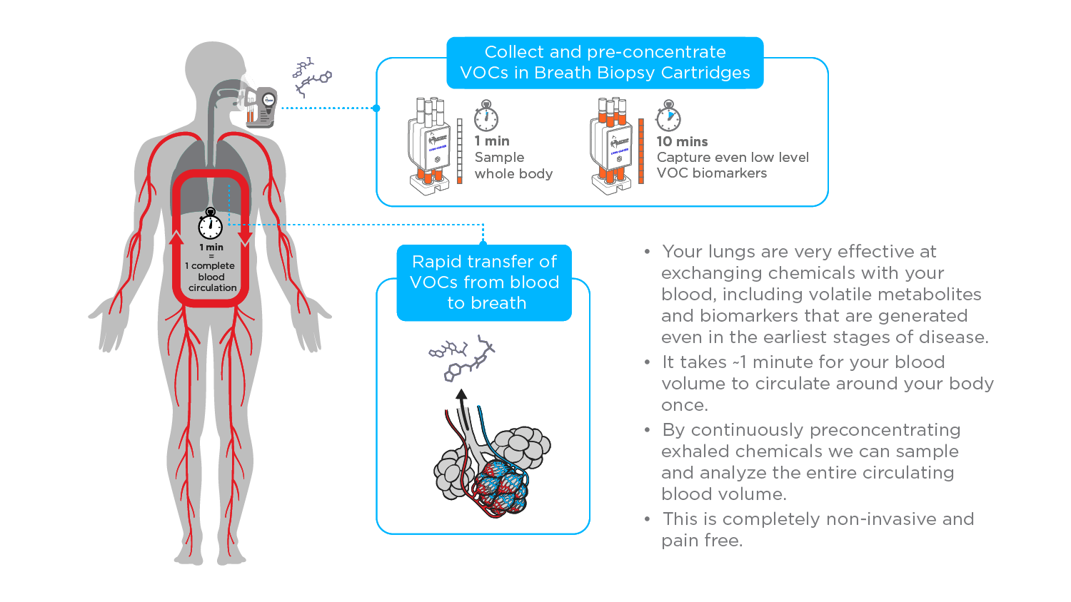 Chemical Makeup Of Blood Mugeek Vidalondon