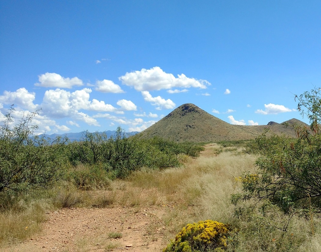 (SOLD) 2.65 Acres For Sale Douglas Arizona Owner Financed Land