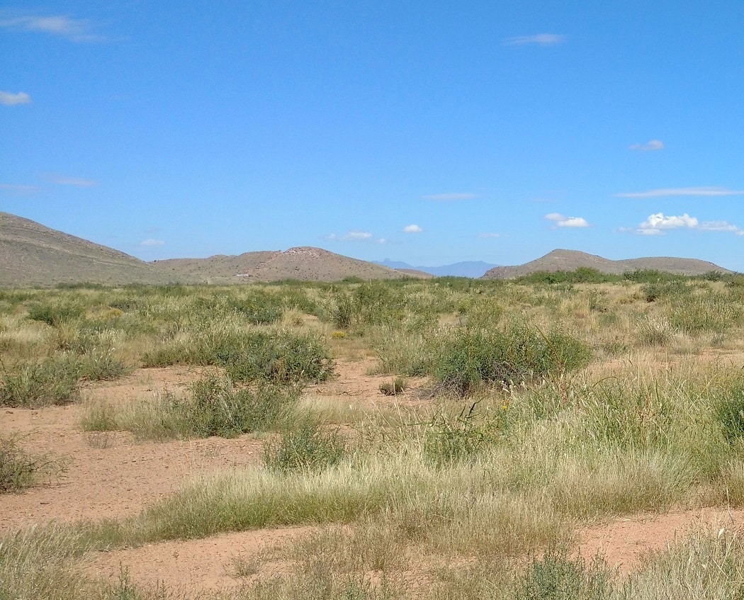 (SOLD) 2.65 Acres For Sale Douglas Arizona Owner Financed Land