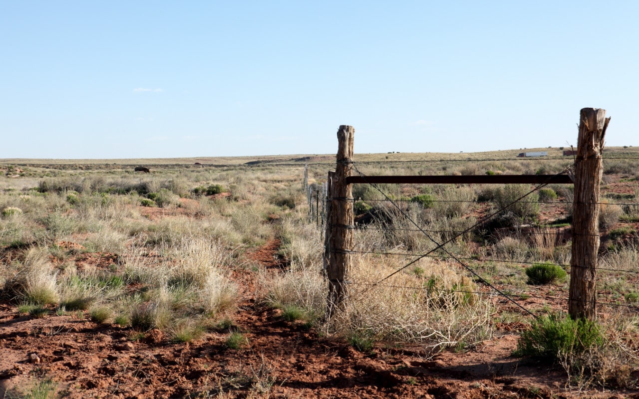 (SOLD) 40 Acres For Sale St Johns Arizona Owner Financed Land