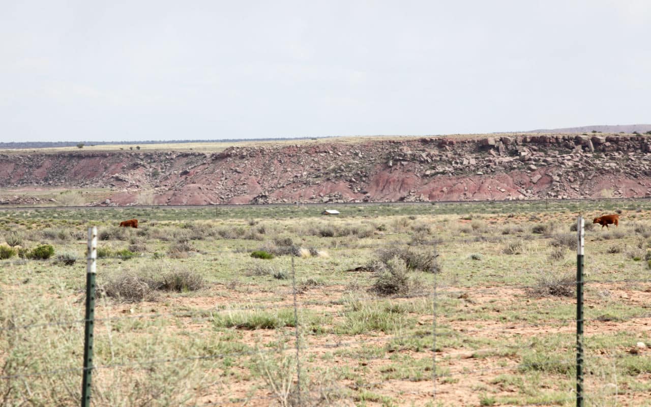 (SOLD) 40 Acres For Sale St Johns Arizona Owner Financed Land