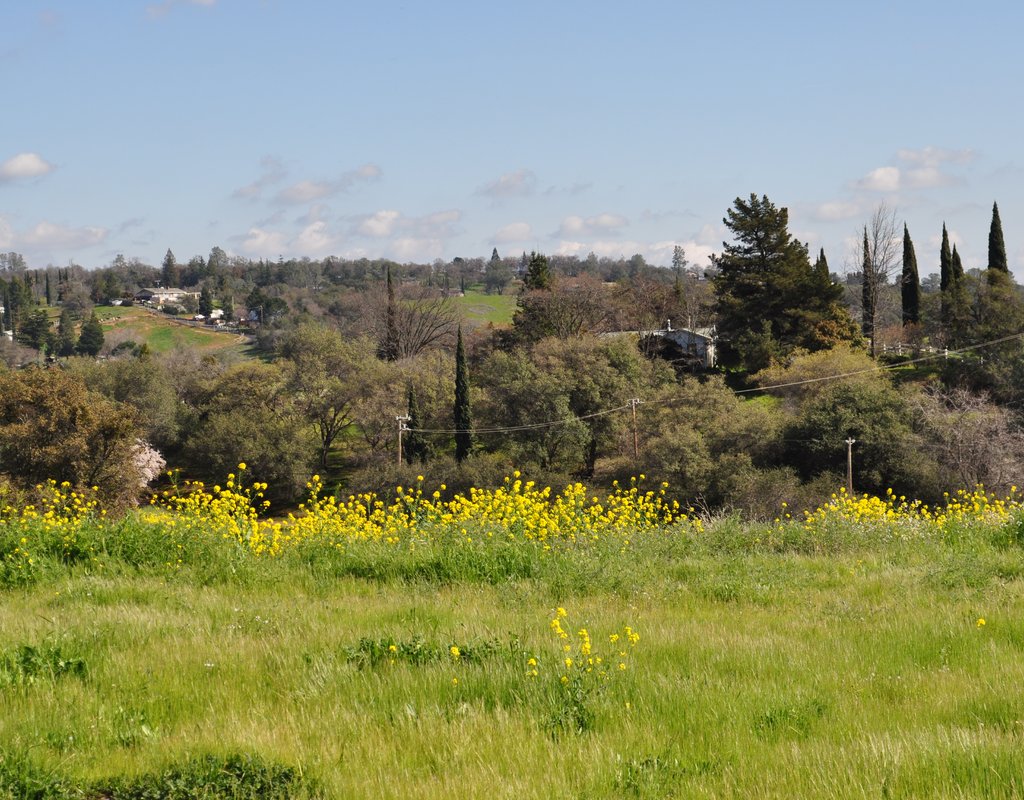 Homes Recently Sold in Newcastle, CA Newcastle Home Values