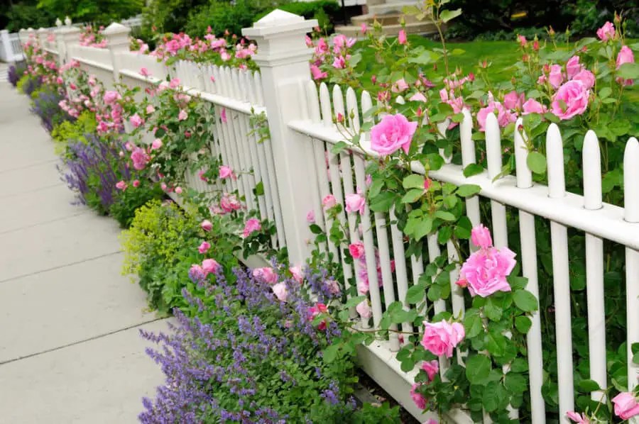 Best White Picket Fence Ideas, Designs, Pictures in 2023 Own The Yard
