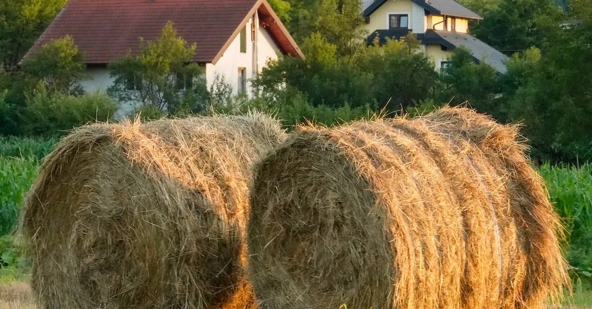 How Much Is 10 Acres Of Hay Worth? A Detailed Look At Hay Prices And Yields Own Your Own Future