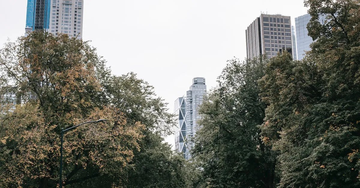 How Much Is Central Park Worth? Own Your Own Future