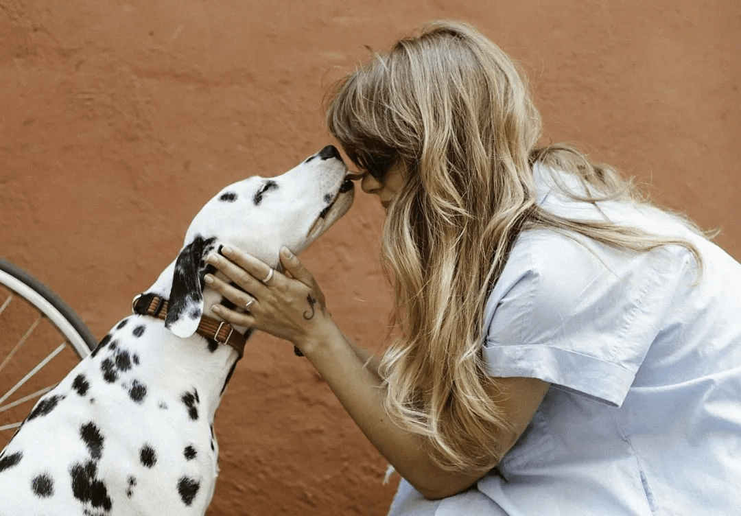 News 7 Ways Your Dog Shows You Love