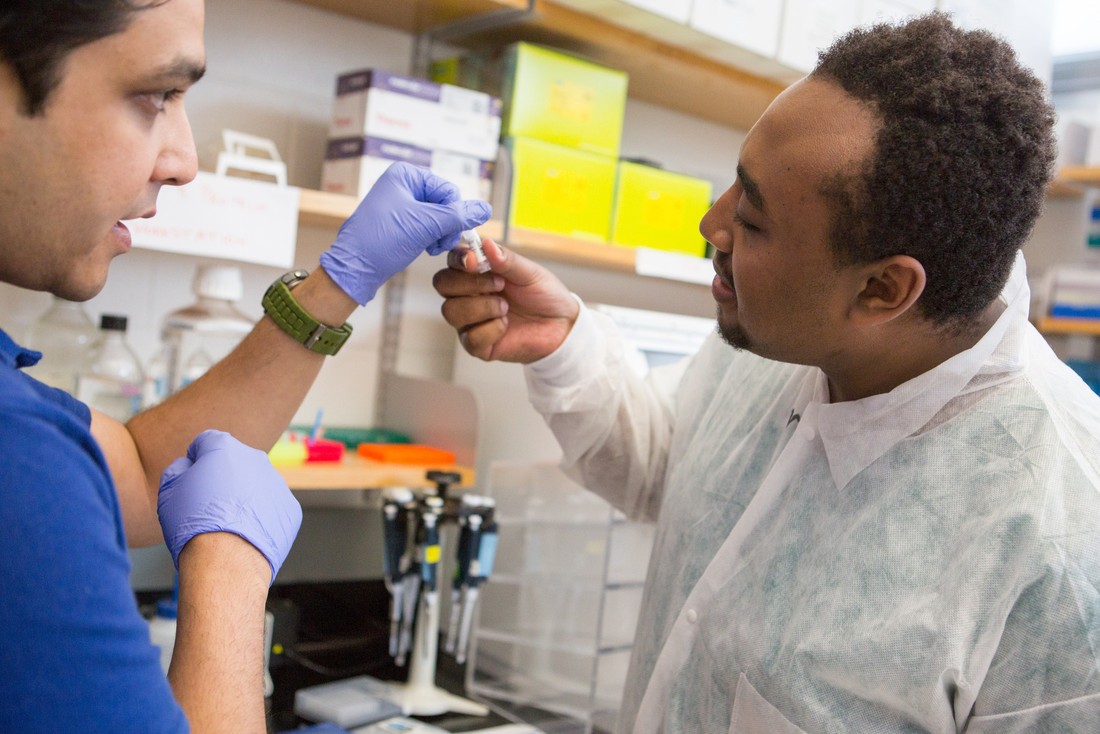 PreMedicine / PreDentistry Major Ohio Wesleyan University