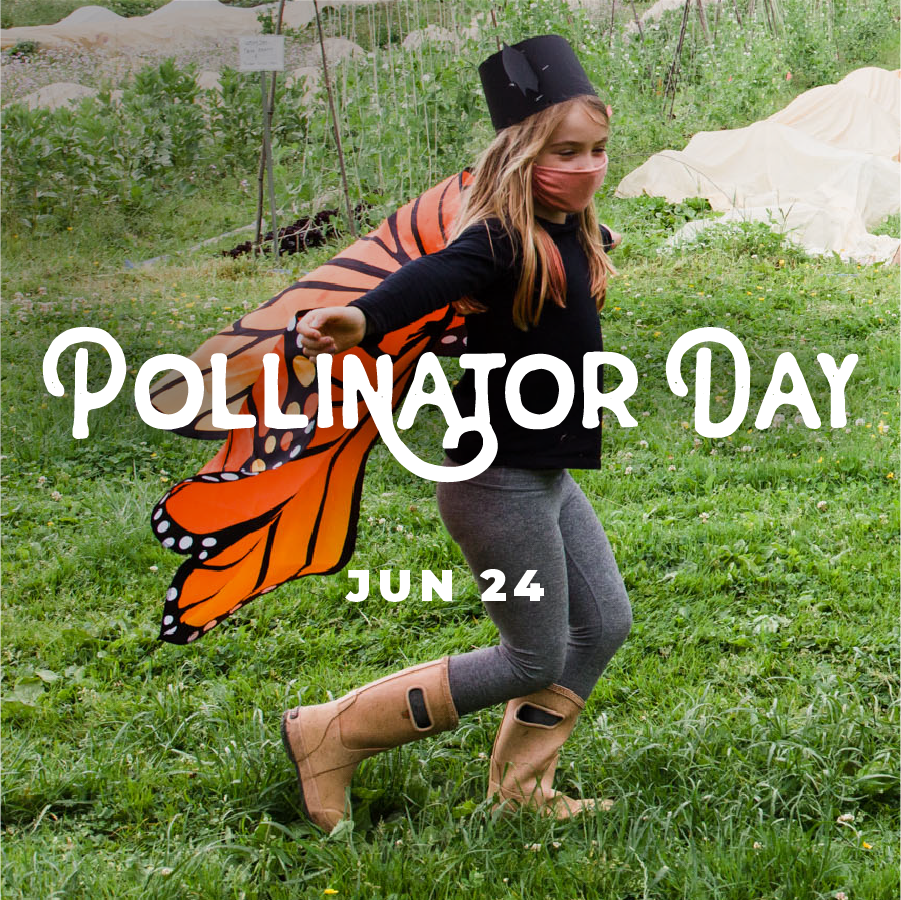 Pollinator Day Oxbow Farm & Conservation Center