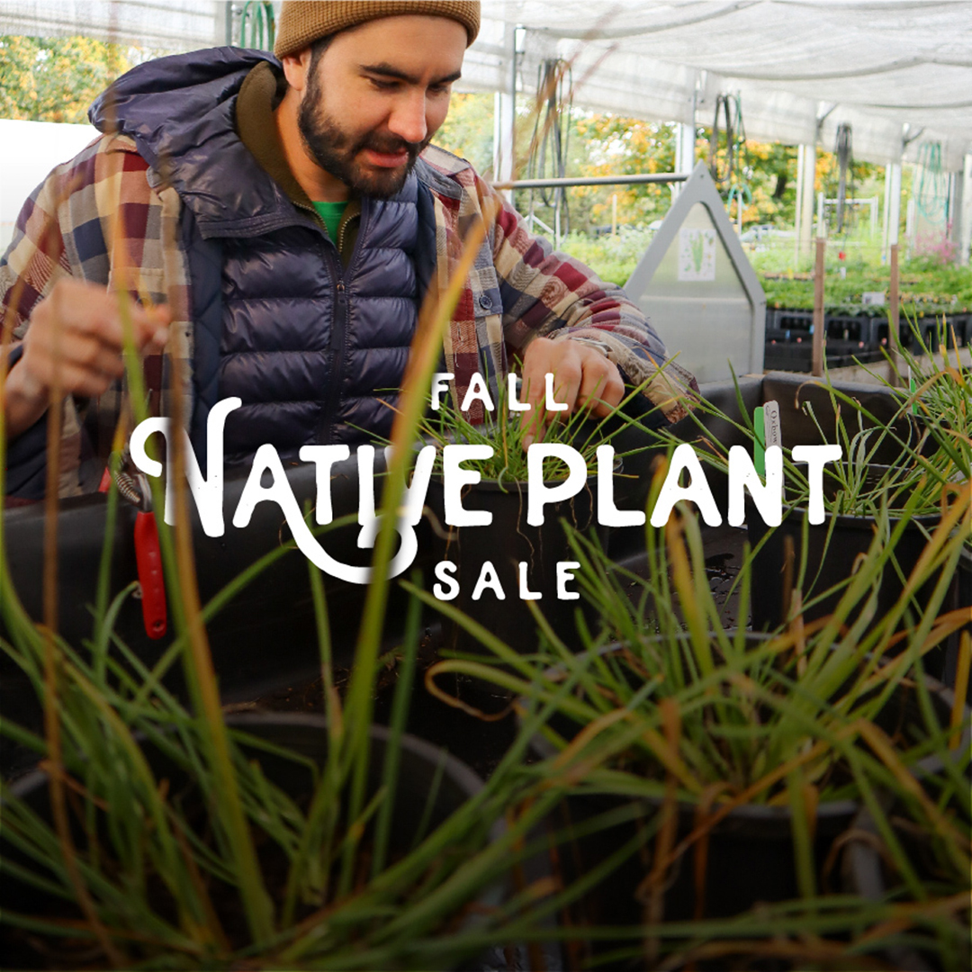 Fall Native Plant Sale Oxbow Farm & Conservation Center