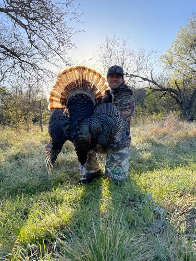 Cheap Texas Turkey Hunts Book Affordable Adventures Now!