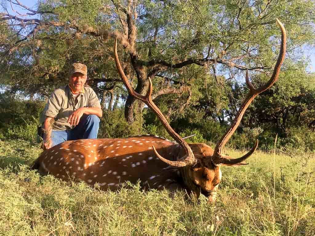 bigaxisbuck OX Ranch