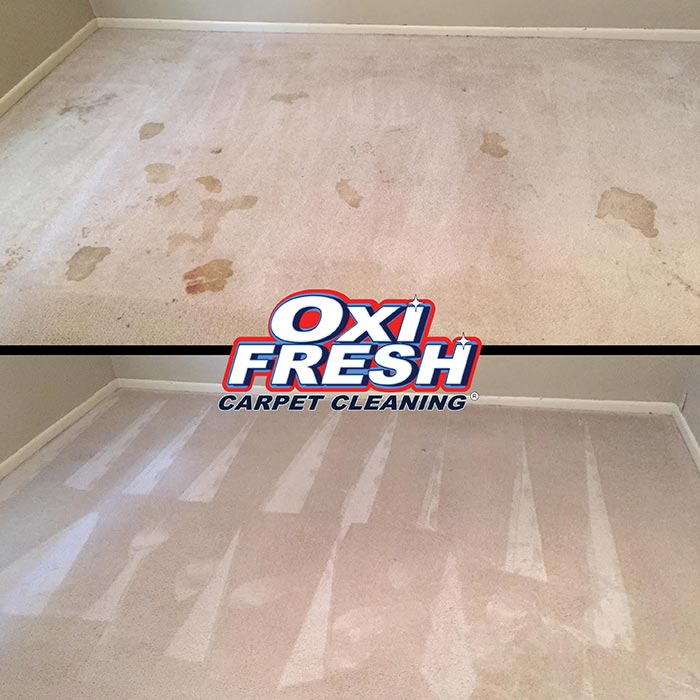 Carpet Cleaning Before and After Oxi Fresh