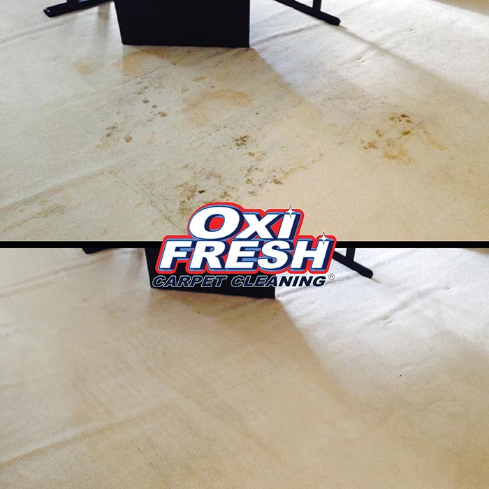 Carpet Cleaning Before and After Oxi Fresh