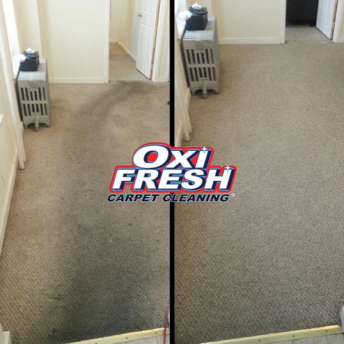 Carpet Cleaning Before and After Oxi Fresh
