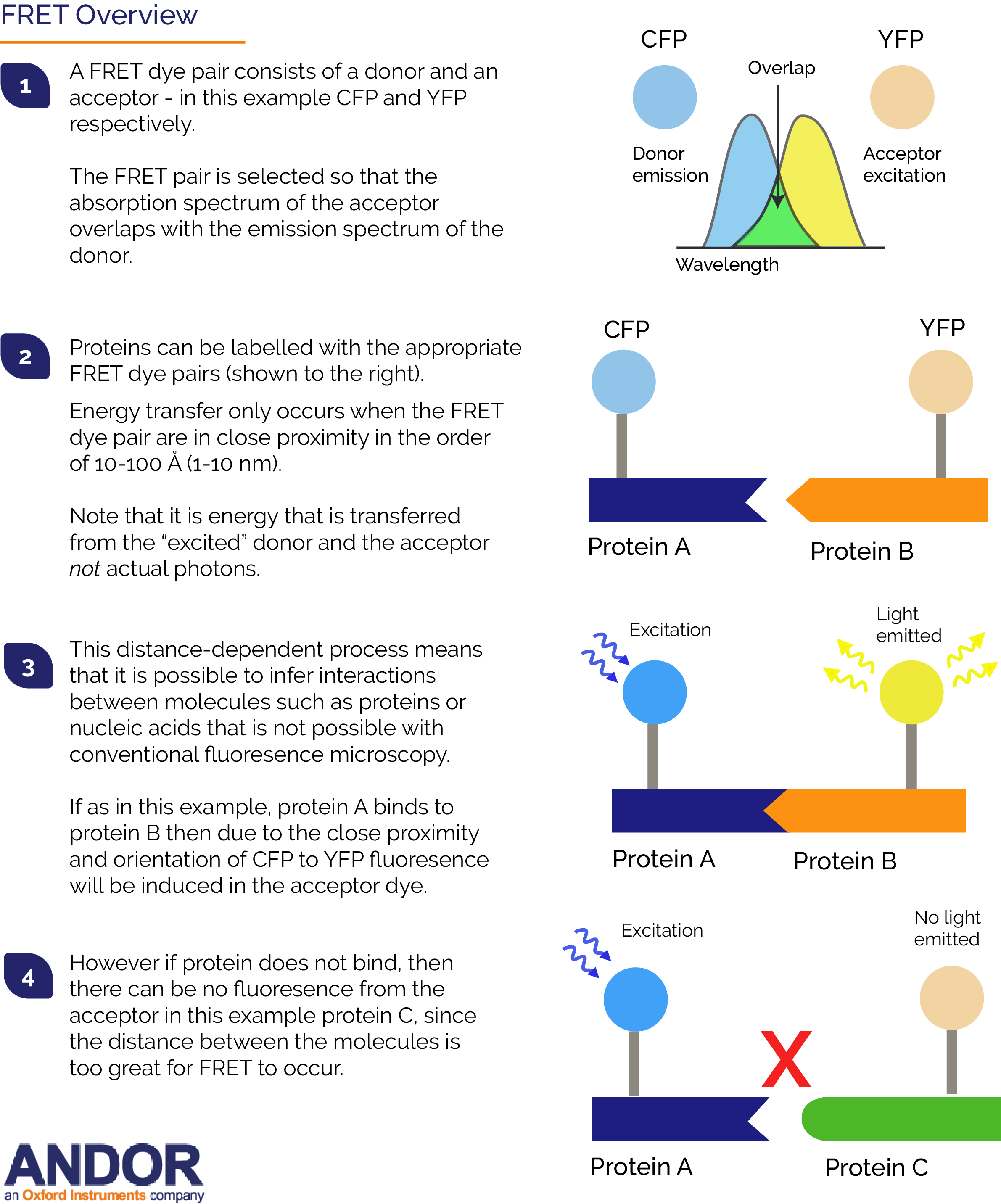 Advanced microscopy applications – an overview of FRET- Oxford Instruments