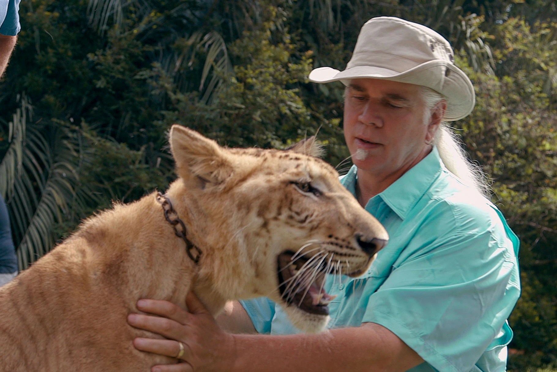 Watch short videos about #kingcoltkilledhiscat on tiktok. Web snake bites are actually a common occurrence for both cats and dogs and can lead to death. Doc Antle Of' 'Tiger King' Denies Euthanizing Cubs Crime News