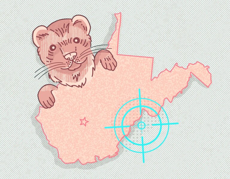 A Guide To The Weirdest Law In Each State Of The United States Crime News