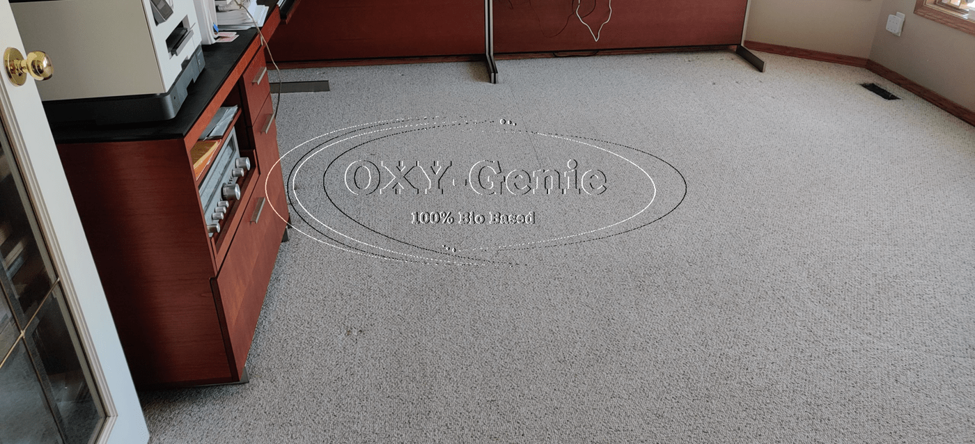 OxyGenie Carpet Cleaning Calgary Steam Cleaner