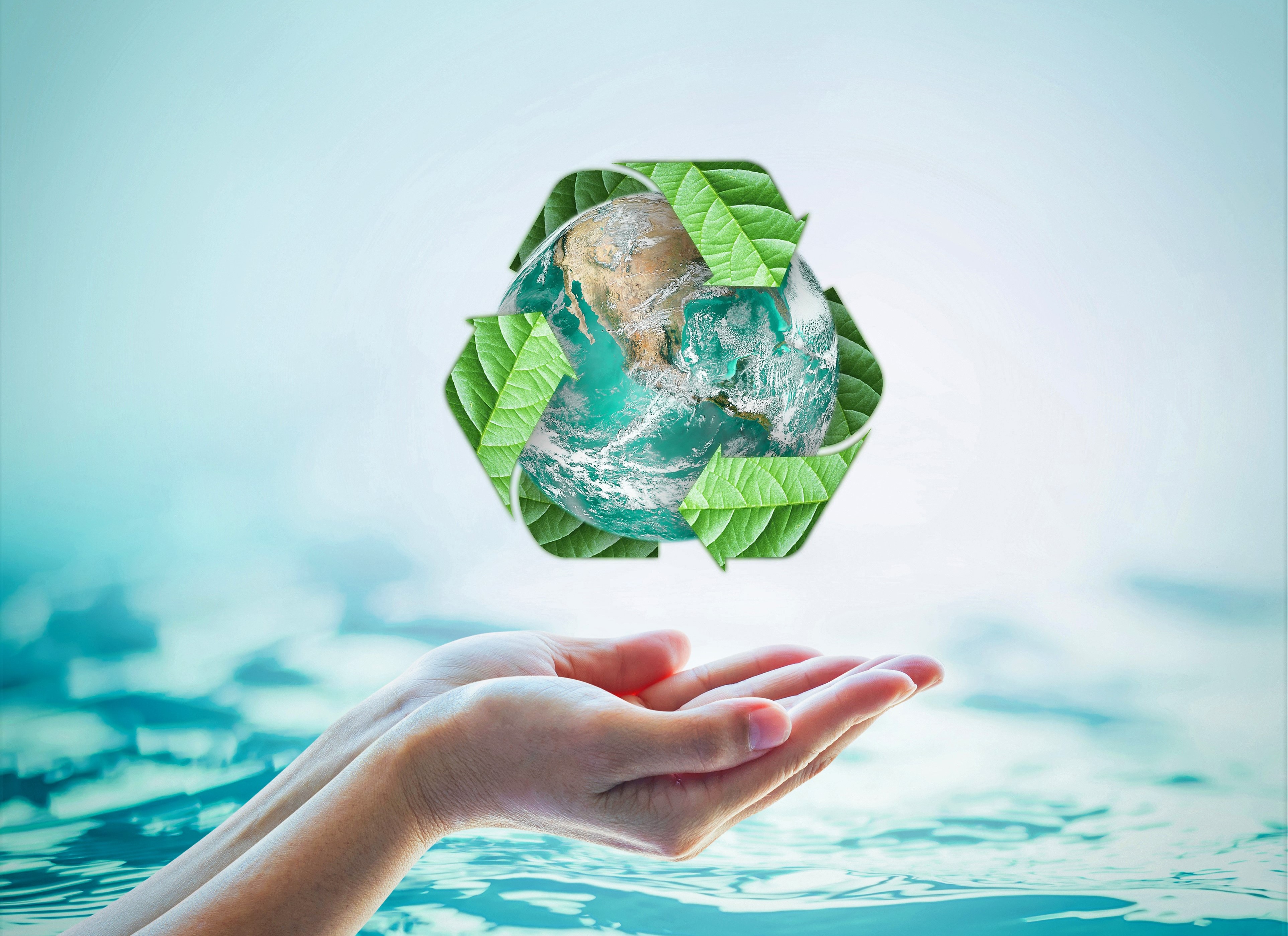 How to live a zero waste lifestyle