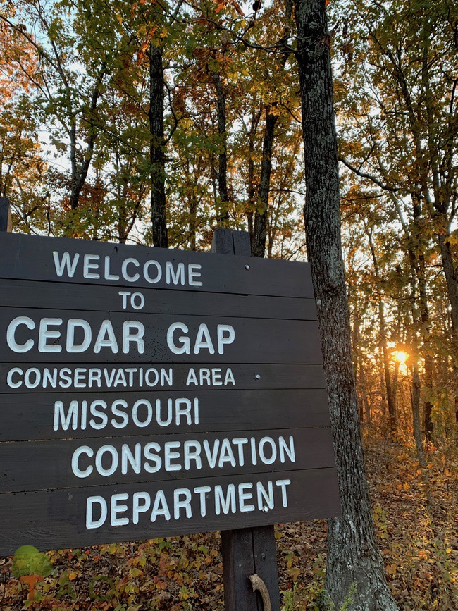 Cedar Gap Conservation Area The Accidental Ozarkian
