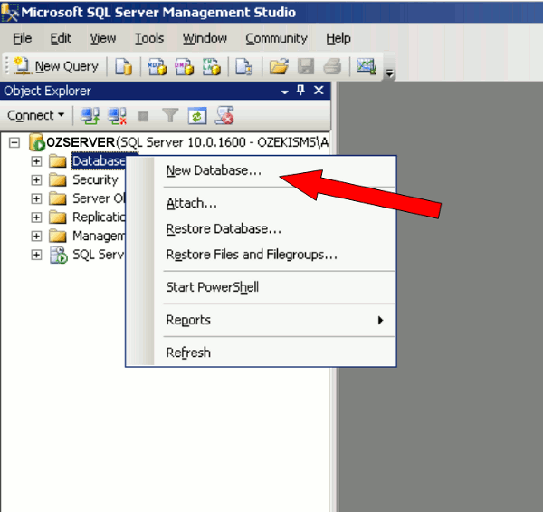 SMS Gateway MSSQL, MSSQL Server 2008 Connection