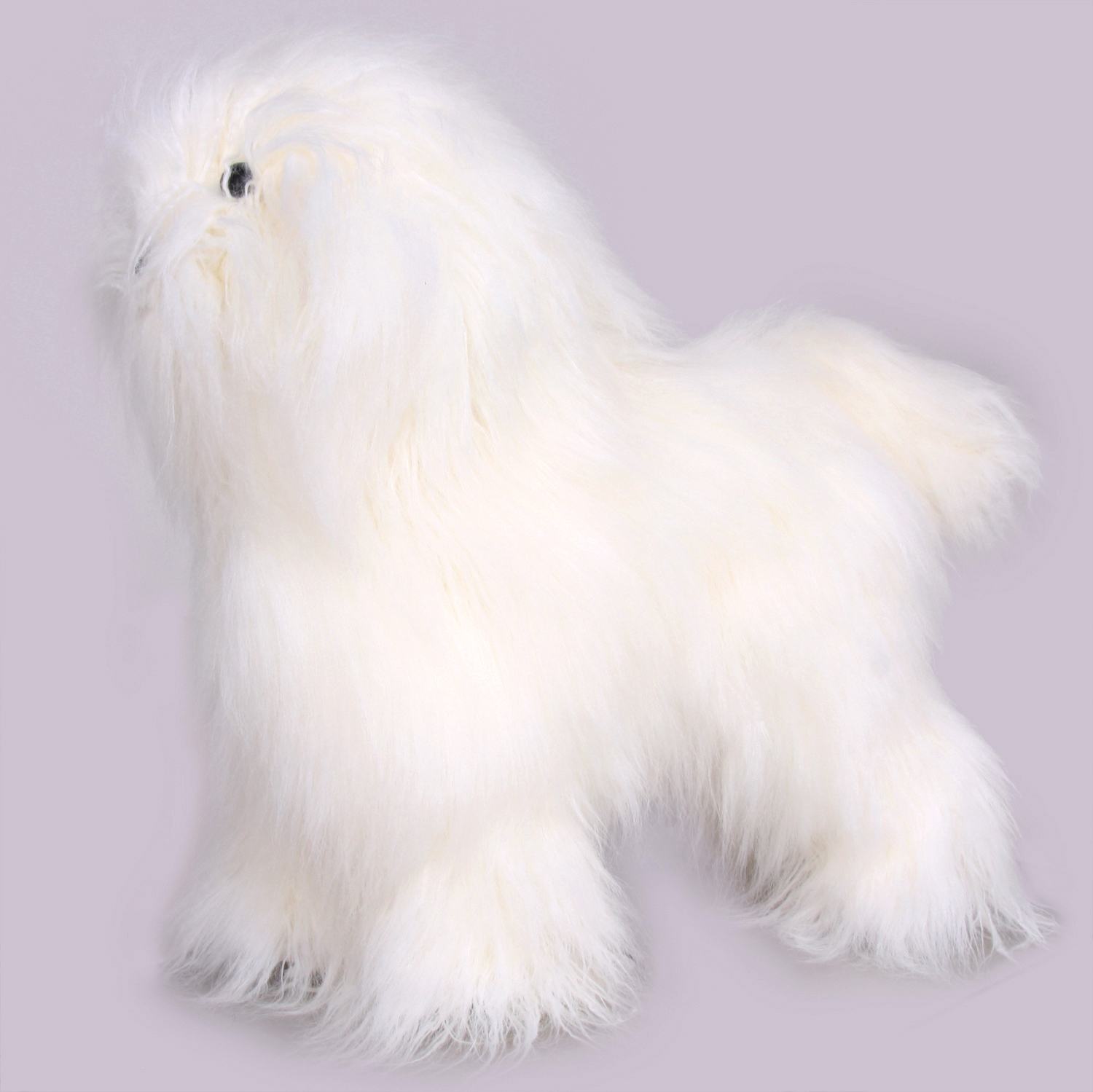 +23 Poodle Hair Products