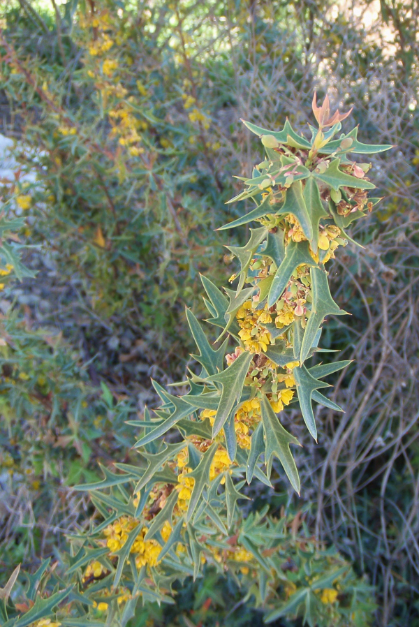 Photo Gallery Ozona, Texas